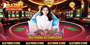 Đấu trường gà campuchia